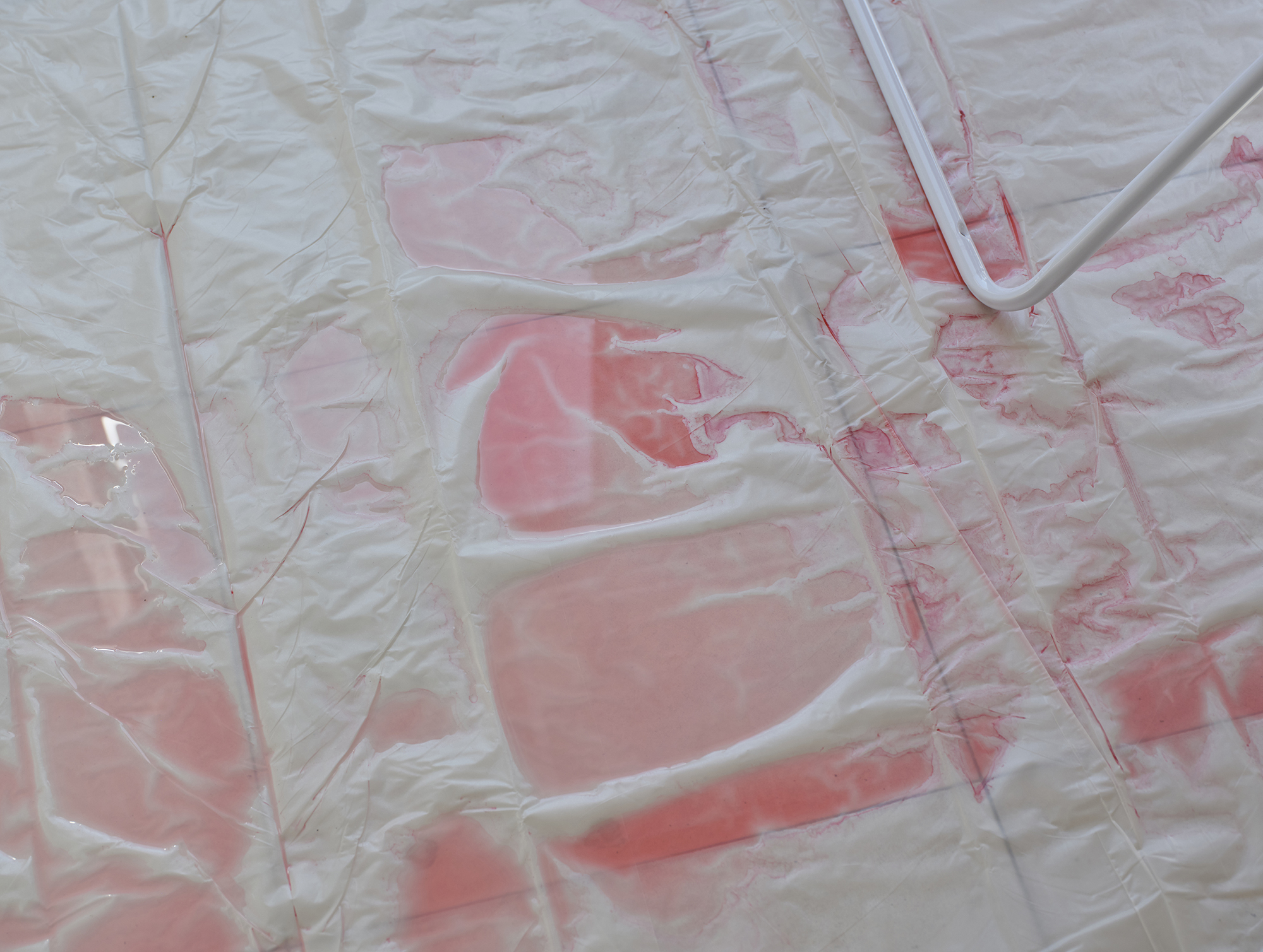 Theresa&nbsp;Fuchs - Iss&nbsp;mal - 2508-TF-Paracellsusstraße 24 cropped Kopie.jpg